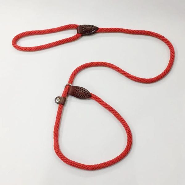 dog collars & leashes pet leash nylon leather for dogs walking training cats harness collar strap belt handmade
dog collars & leashes pet leash nylon leather for dogs walking training cats harness collar strap belt handmade
