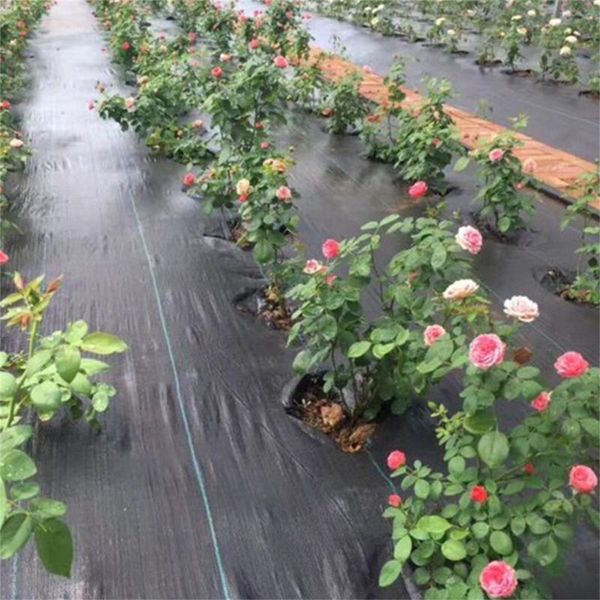 other garden supplies 1m*5m plant straw cloth agriculture control orchard landscape ground cover (black)
other garden supplies 1m*5m plant straw cloth agriculture control orchard landscape ground cover (black)