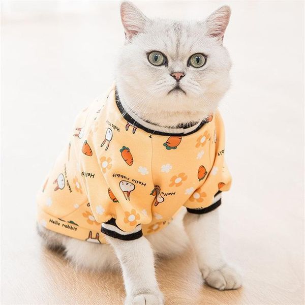 autumn and winter dog sweater small medium sized cat two legged clothes carrot pet costumes
autumn and winter dog sweater small medium sized cat two legged clothes carrot pet costumes