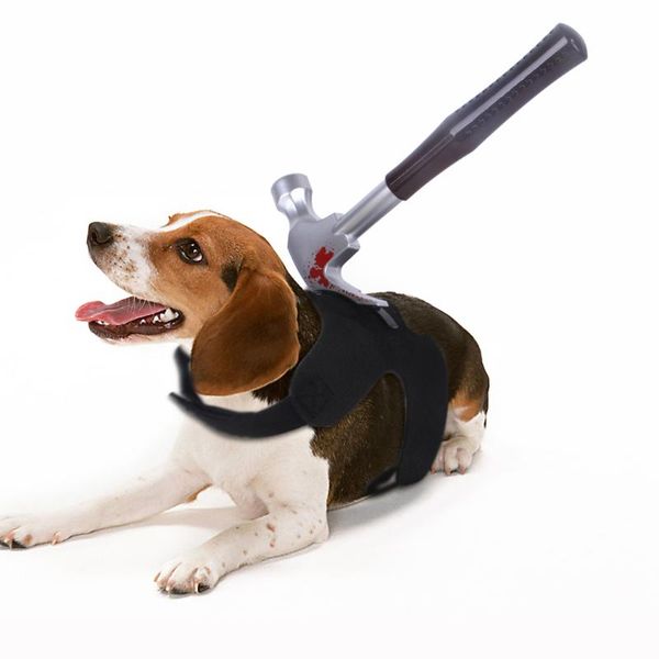 halloween pet costume creative funny scary dog party clothespuppy dogs vest harness leads clothes for small apparel
halloween pet costume creative funny scary dog party clothespuppy dogs vest harness leads clothes for small apparel