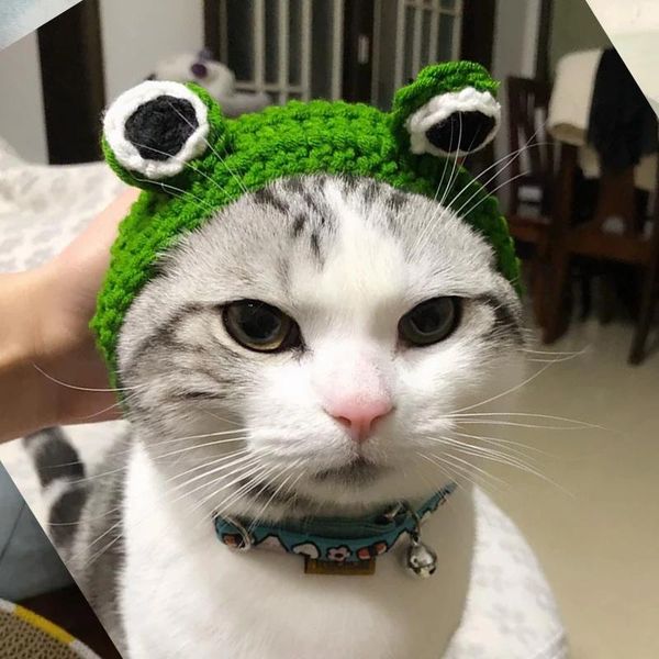 cat costumes supplies headdress dog ears autumn and winter knitted small milk cartoon pet wool cute hat
cat costumes supplies headdress dog ears autumn and winter knitted small milk cartoon pet wool cute hat