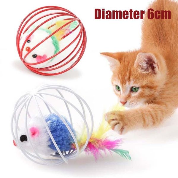 cat toys pet supplies, kitten toys, funny cats, kittens, play with mice, interactive cage family diameter 6cm random colors
cat toys pet supplies, kitten toys, funny cats, kittens, play with mice, interactive cage family diameter 6cm random colors