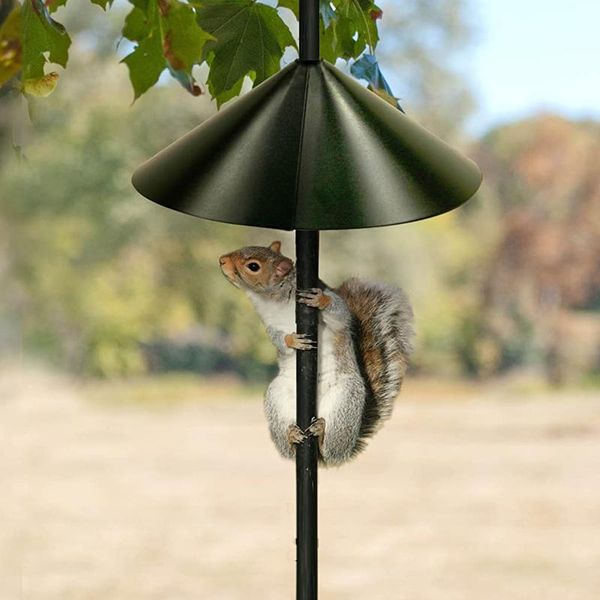 small animal supplies 14-inch wrap around squirrel baffle bird seed ornaments garden tools prevents raccoons from raiding your feeders
small animal supplies 14-inch wrap around squirrel baffle bird seed ornaments garden tools prevents raccoons from raiding your feeders