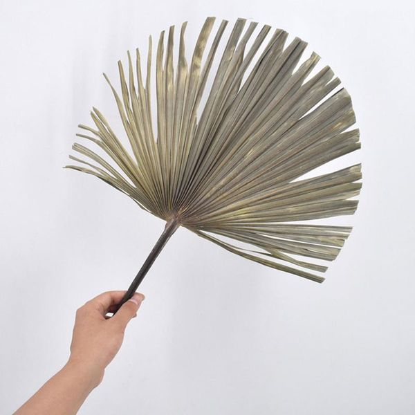 natural dried palm leaves dry leaf shop window reception party art diy wall home decor hanging,wedding decoration favor
natural dried palm leaves dry leaf shop window reception party art diy wall home decor hanging,wedding decoration favor