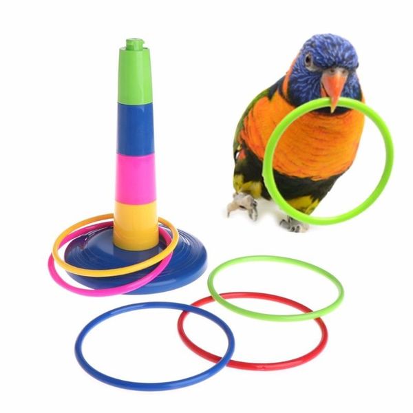 other bird supplies parrot toy intelligence development educational interactive toys training puzzle pet birds
other bird supplies parrot toy intelligence development educational interactive toys training puzzle pet birds