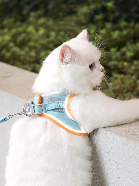 cat collars & leads dog collar harness leash adjustable nylon pet traction kitten halter cats products reflective belt
cat collars & leads dog collar harness leash adjustable nylon pet traction kitten halter cats products reflective belt
