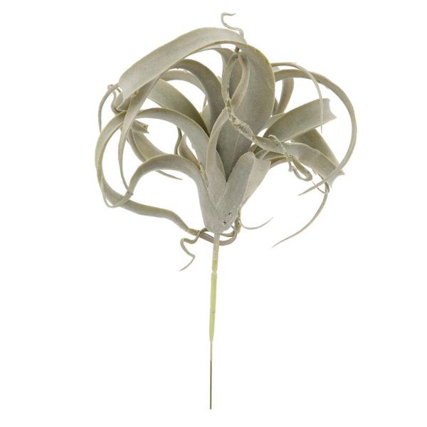 decorative flowers & wreaths 1pc home decoration simulation air pineapple plant decor (green)
decorative flowers & wreaths 1pc home decoration simulation air pineapple plant decor (green)