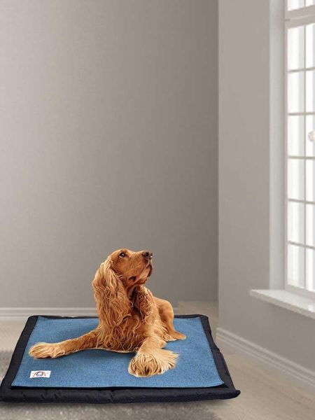 waterproof and urineproof pet mattress to keep warm cat litter with two blankets replaceable for all seasons beds & furniture
waterproof and urineproof pet mattress to keep warm cat litter with two blankets replaceable for all seasons beds & furniture
