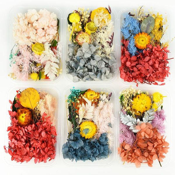 decorative flowers & wreaths 1 box dried flower dry plants pressed leaf for candle necklace pendant jewelry making diy craft ac
decorative flowers & wreaths 1 box dried flower dry plants pressed leaf for candle necklace pendant jewelry making diy craft ac