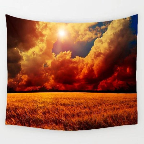 tapestries balloon landing aurora sunset tapestry printing wall mounted polyester 150x100cm/150x130cm/200x150cm
tapestries balloon landing aurora sunset tapestry printing wall mounted polyester 150x100cm/150x130cm/200x150cm