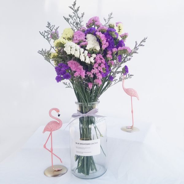 1 bunch real natural plant myosotis sylvatica lover grass eternal floral wedding party diy bouquet valentines day art craft
1 bunch real natural plant myosotis sylvatica lover grass eternal floral wedding party diy bouquet valentines day art craft