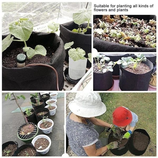 planters & pots black plant grow bag tomato planting flower pot storage container creative balcony spring garden patio nonwoven practical
planters & pots black plant grow bag tomato planting flower pot storage container creative balcony spring garden patio nonwoven practical