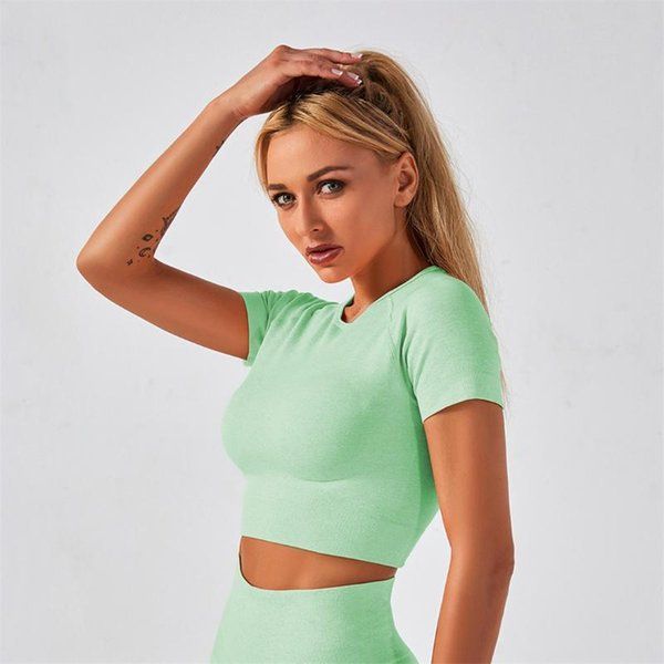 shaping seamless sport women crop t-shirt bra legging shorts sportsuit workout outfit fitness wear yoga gym set a012btp1 11, White;red
shaping seamless sport women crop t-shirt bra legging shorts sportsuit workout outfit fitness wear yoga gym set a012btp1 11, White;red