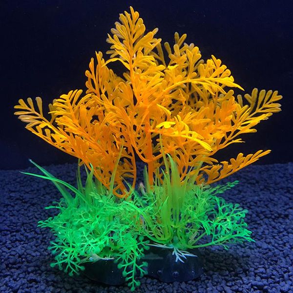 10cm 12 kinds artificial aquarium decor plants water ornament aquatic plant fish tank grass decoration accessories decorations
10cm 12 kinds artificial aquarium decor plants water ornament aquatic plant fish tank grass decoration accessories decorations