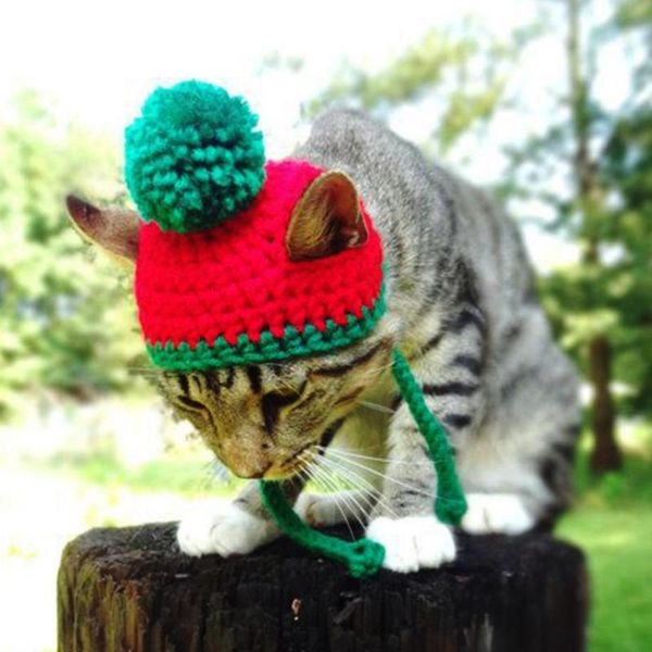 christmas ball knitted hat puppy cap halloween cosplay pet cat dog supplies costumes
christmas ball knitted hat puppy cap halloween cosplay pet cat dog supplies costumes