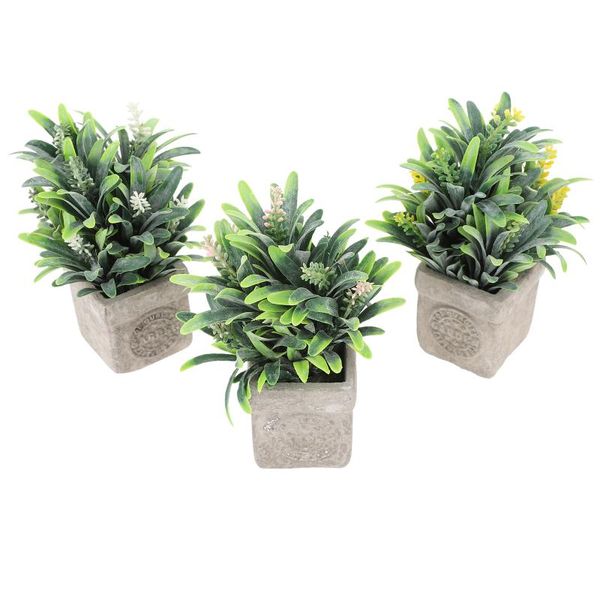 decorative flowers & wreaths 3pcs office deskgarden simulated plant for decor fake adorn
decorative flowers & wreaths 3pcs office deskgarden simulated plant for decor fake adorn