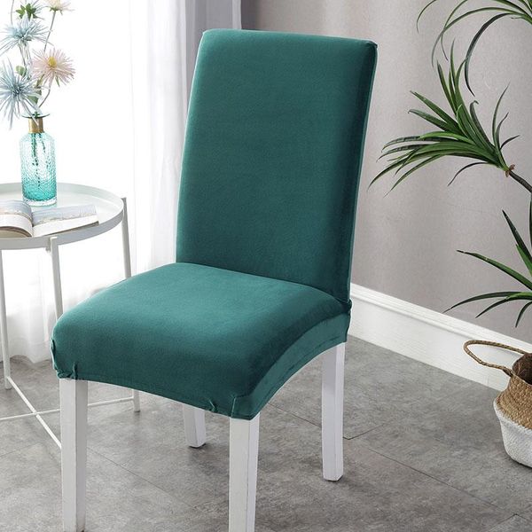 velvet plain dining chair cover spandex elastic slipcover case stretch for wedding el banquet warmsliving covers
velvet plain dining chair cover spandex elastic slipcover case stretch for wedding el banquet warmsliving covers