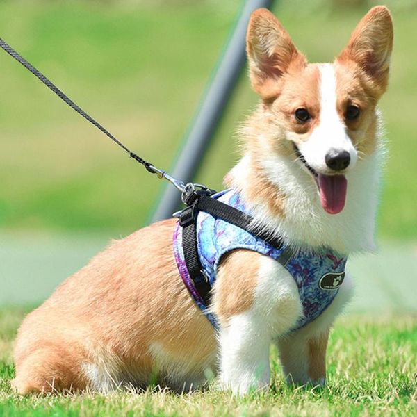 dog collars & leashes breathable pet harness vest with reflective strap durable adjustable cat outdoor walking lead leash set supplies
dog collars & leashes breathable pet harness vest with reflective strap durable adjustable cat outdoor walking lead leash set supplies