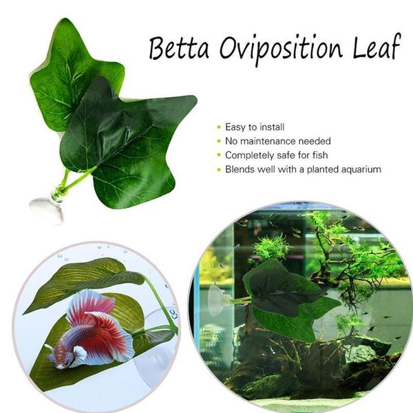 decorations 1pcs aquarium accessories artificial plant leaf fish rest bed tropical saltwater water grass tank supplies decoration
decorations 1pcs aquarium accessories artificial plant leaf fish rest bed tropical saltwater water grass tank supplies decoration