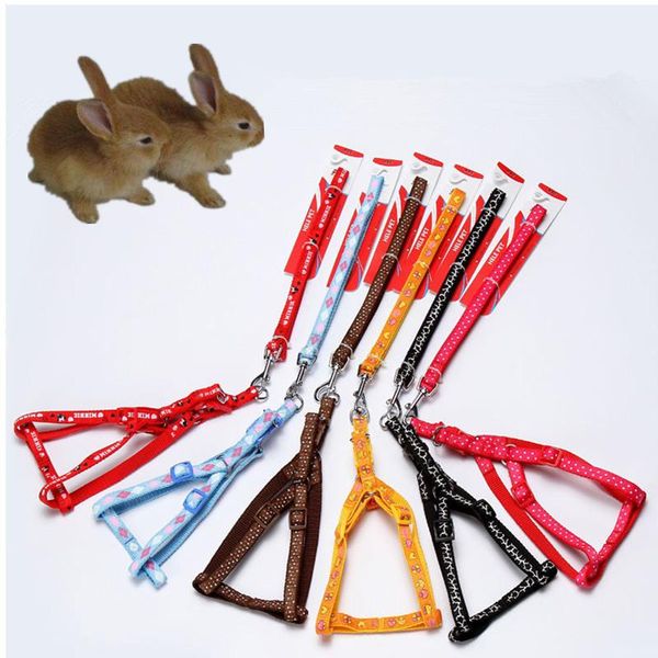 cat collars & leads harness leash miniature dogs leashes small pet harnesses chest strap rope for toy poodle bichon frise color at ra
cat collars & leads harness leash miniature dogs leashes small pet harnesses chest strap rope for toy poodle bichon frise color at ra