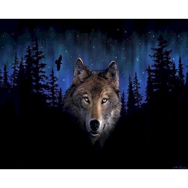 paintings selilali painting by numbers kits for adults night wolf animal picture number 60x75cm frameless handpainted home wall decors
paintings selilali painting by numbers kits for adults night wolf animal picture number 60x75cm frameless handpainted home wall decors