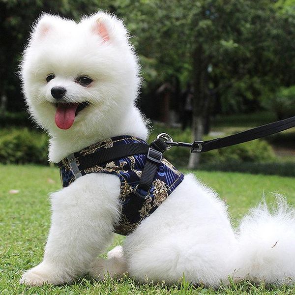 dog collars & leashes pet reflective harness adjustable chinese dragon pattern collar for large medium small harnesses vest husky supplies
dog collars & leashes pet reflective harness adjustable chinese dragon pattern collar for large medium small harnesses vest husky supplies