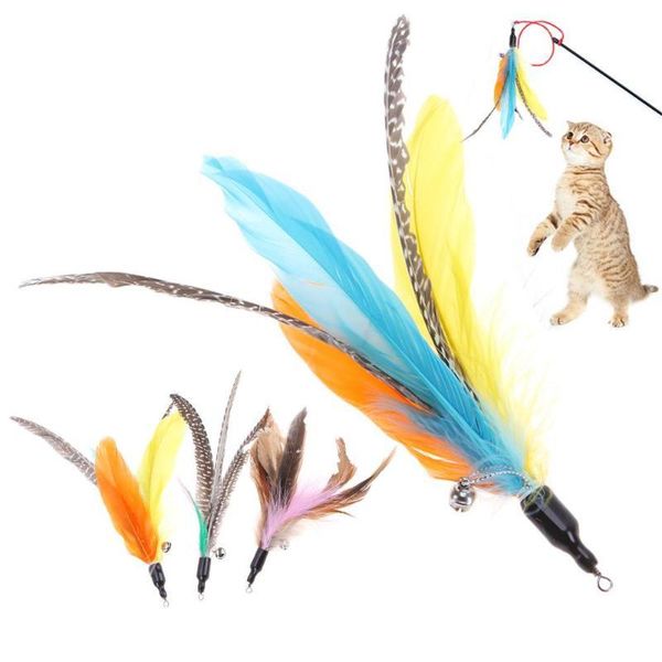 cat toys 5 pcs/lot random colorful feather replacement head interactive play training refill wand pet products
cat toys 5 pcs/lot random colorful feather replacement head interactive play training refill wand pet products