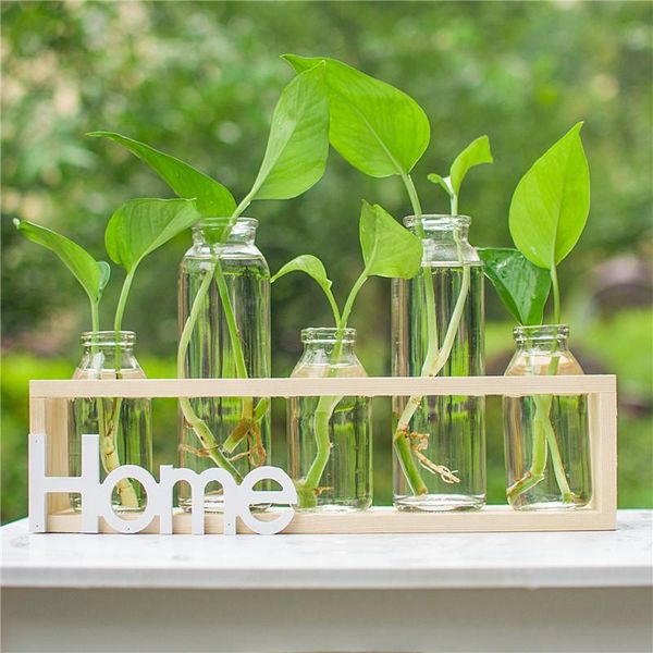 vases o.roselif brand wooden glass vase set for office deskdecor plant epipremnum aureum without home decoration accessories
vases o.roselif brand wooden glass vase set for office deskdecor plant epipremnum aureum without home decoration accessories