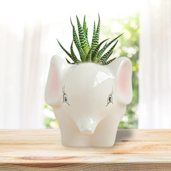 creative ceramic flowerpot simple cute elephant fleshy home gardening potted vase balcony decoration planters & pots
creative ceramic flowerpot simple cute elephant fleshy home gardening potted vase balcony decoration planters & pots