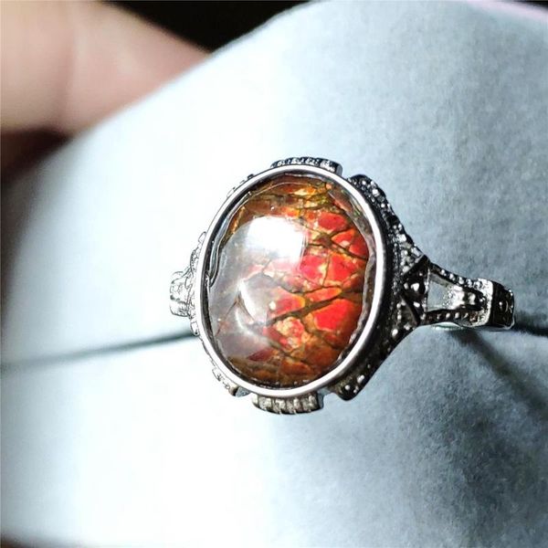 cluster rings natural red ammonite ammolite ring men woman crystal love gift 14x11mm beads 925 sterling silver fashion, Golden;silver
cluster rings natural red ammonite ammolite ring men woman crystal love gift 14x11mm beads 925 sterling silver fashion, Golden;silver
