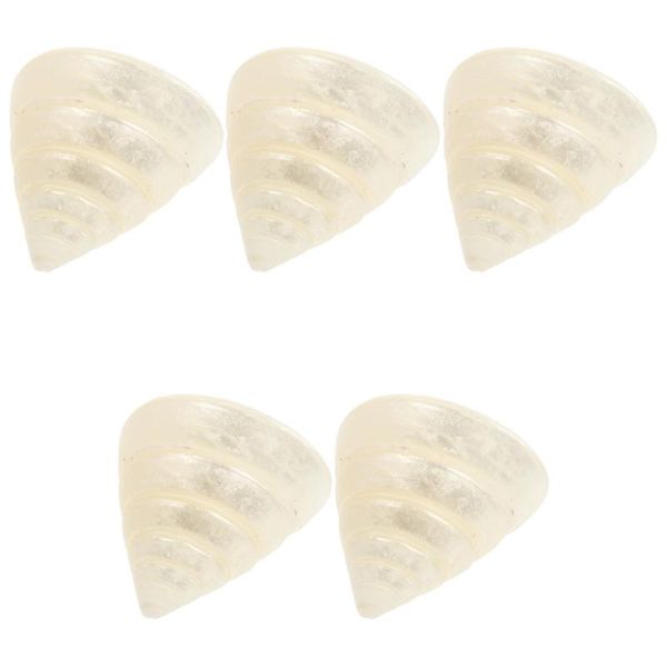 novelty items 5 pcs aquarium conch decor natural sea snail fish tank ornament
novelty items 5 pcs aquarium conch decor natural sea snail fish tank ornament
