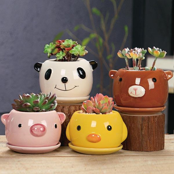 4pcs/ 2pcs set cartoon animal flower pot mini succulent plant pots home decoration craft planters &
4pcs/ 2pcs set cartoon animal flower pot mini succulent plant pots home decoration craft planters &
