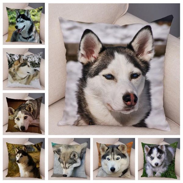 cushion/decorative pillow super soft short plush siberian husky dog case covers decor pet animal cushion cover for sofa home pillowcase 45*4
cushion/decorative pillow super soft short plush siberian husky dog case covers decor pet animal cushion cover for sofa home pillowcase 45*4