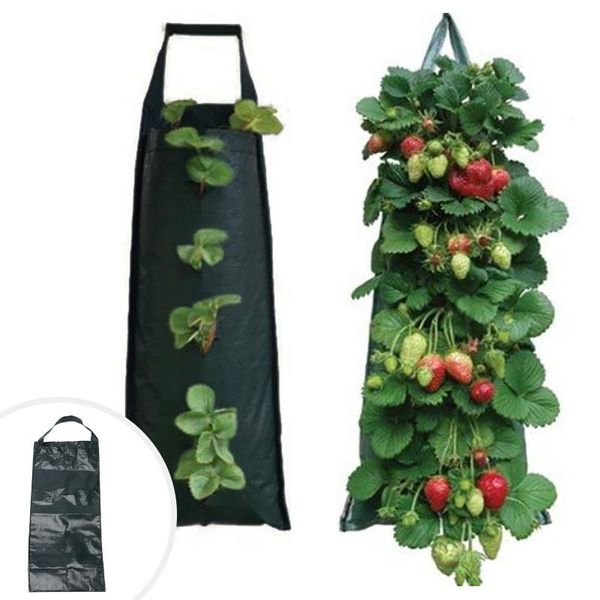 planters & pots 25# plant hanging baskets strawberry planting feltcloth container bag thicken garden pot gardening supplies
planters & pots 25# plant hanging baskets strawberry planting feltcloth container bag thicken garden pot gardening supplies
