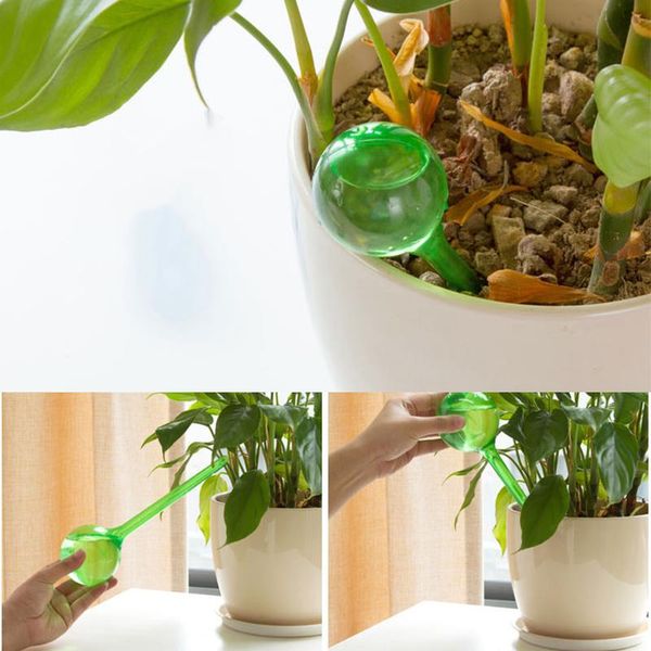 watering equipments plant globes glass-like self-watering bulbs automatic device for houseplants pot
watering equipments plant globes glass-like self-watering bulbs automatic device for houseplants pot