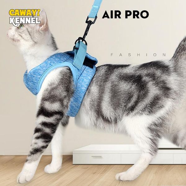 dog collars & leashes cawayi kennel adjustable vest+ collar pet cat leads traction rope set dogs neck strap supplies
dog collars & leashes cawayi kennel adjustable vest+ collar pet cat leads traction rope set dogs neck strap supplies