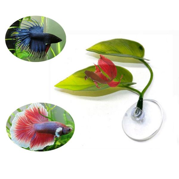 betta bed leaf hammock for fish pad, realistic resting spot, no bpa, practical safe simulating natural habitat decorations
betta bed leaf hammock for fish pad, realistic resting spot, no bpa, practical safe simulating natural habitat decorations