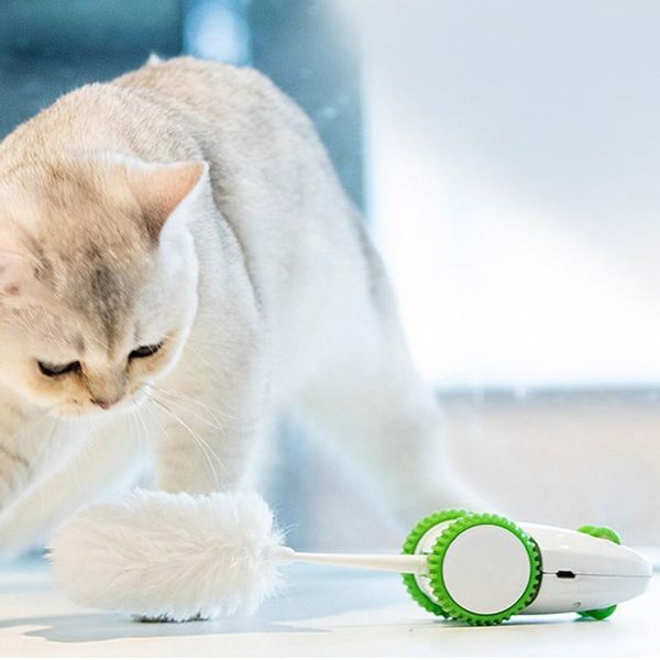 cat toys pet electric toy smart machine luminous simulation mouse usb charging green for dog automatic
cat toys pet electric toy smart machine luminous simulation mouse usb charging green for dog automatic
