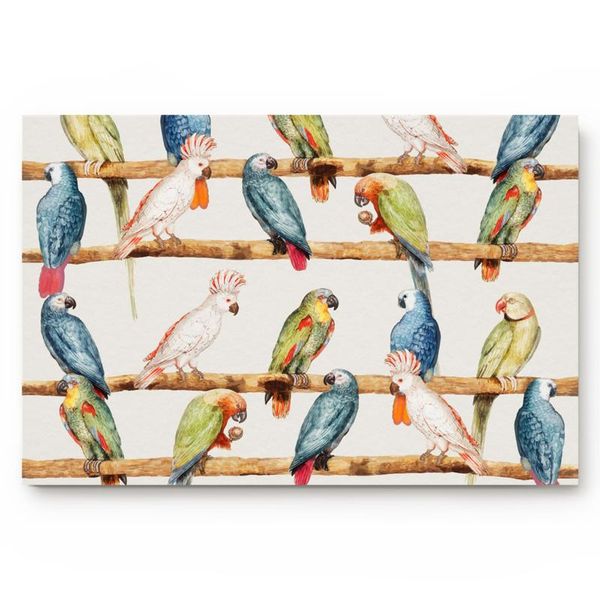 carpets birds parrot color watercolor doormat non-slip indoor/outdoor door mat home decor entrance floor mats
carpets birds parrot color watercolor doormat non-slip indoor/outdoor door mat home decor entrance floor mats