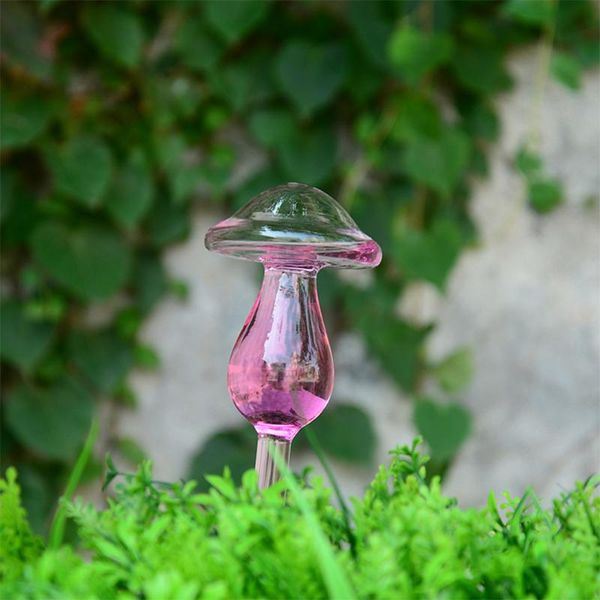 watering equipments 5 shapes glass plant flowers water feeder automatic self devices bird star heart design waterer decorative tool
watering equipments 5 shapes glass plant flowers water feeder automatic self devices bird star heart design waterer decorative tool