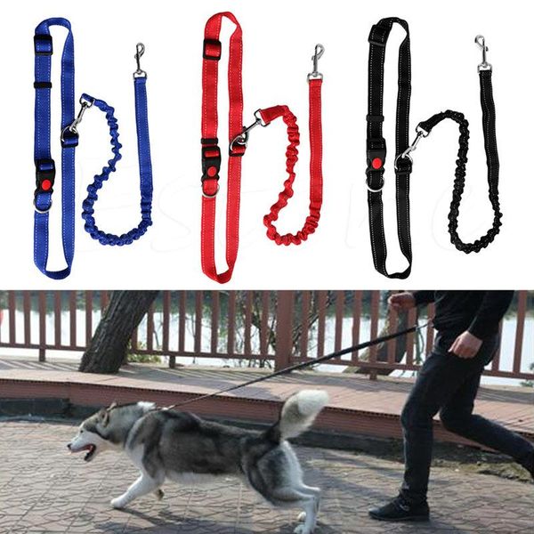 dog collars & leashes pet dogs leash running elasticity hand y pets training products harness collar jogging lead adjustable waist rope
dog collars & leashes pet dogs leash running elasticity hand y pets training products harness collar jogging lead adjustable waist rope