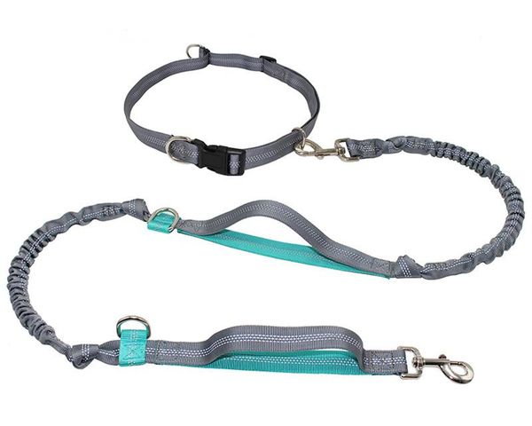 dog collars & leashes pet leash reflective retractable hands with dual handle bungee jogging running for small large
dog collars & leashes pet leash reflective retractable hands with dual handle bungee jogging running for small large
