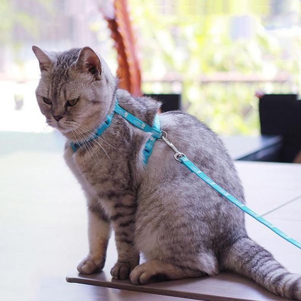 cat collars & leads 5 colors dog protective anti-escape vest harness soft adjustable nylon pet puppy with lead leash
cat collars & leads 5 colors dog protective anti-escape vest harness soft adjustable nylon pet puppy with lead leash