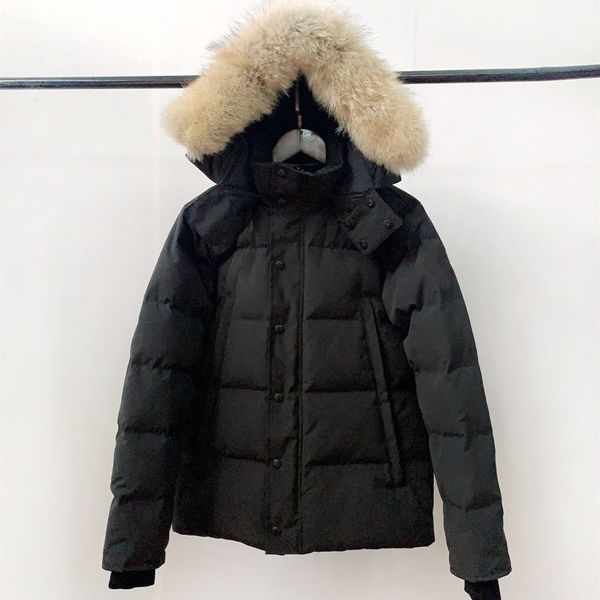 men short down parkas real wolf fur ruff winter jacket fusion fit warm coat designer women exterior interior pockets zipper stretch rib cuff, Black
men short down parkas real wolf fur ruff winter jacket fusion fit warm coat designer women exterior interior pockets zipper stretch rib cuff, Black
