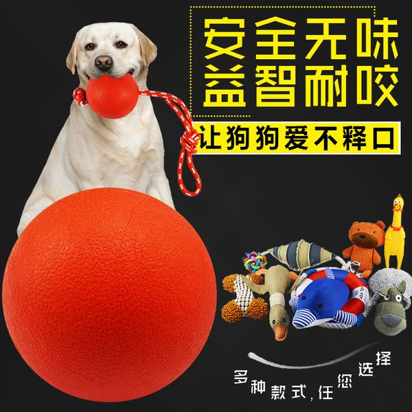 dog ball, molar, bite resistant, squeal, plush cotton rope , teddy golden fur, pet toy for puppies
dog ball, molar, bite resistant, squeal, plush cotton rope , teddy golden fur, pet toy for puppies