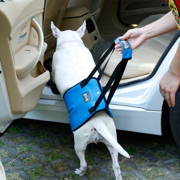dog collars & leashes portable sling harness for back leg hip support to help lift rear canine aid old ligament rehabilitation 
dog collars & leashes portable sling harness for back leg hip support to help lift rear canine aid old ligament rehabilitation