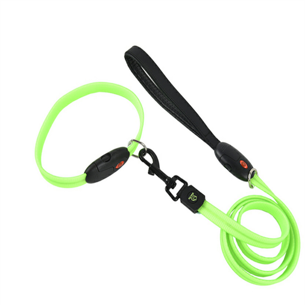dog collars & leashes dogs reflective harness walking night safety usb retractable leash with led pet
dog collars & leashes dogs reflective harness walking night safety usb retractable leash with led pet