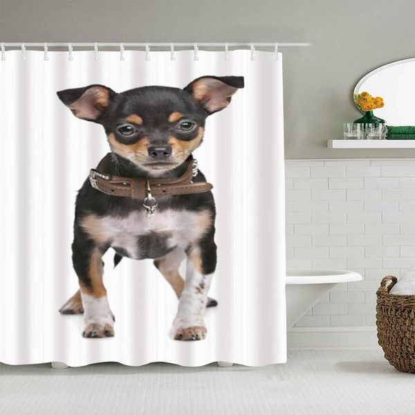 shower curtain breed chihuahua pedigree animals wildlife waterproof bath curtains hooks included -bathroom decorative ideas
shower curtain breed chihuahua pedigree animals wildlife waterproof bath curtains hooks included -bathroom decorative ideas