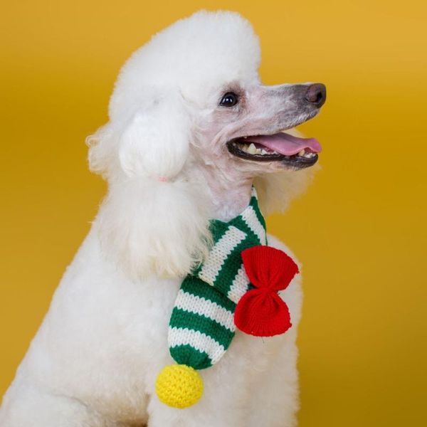 dog apparel autumn winter scarf handmade woolen warm puppy dogs collars tie necktie cat christmas pet accessories supplies
dog apparel autumn winter scarf handmade woolen warm puppy dogs collars tie necktie cat christmas pet accessories supplies