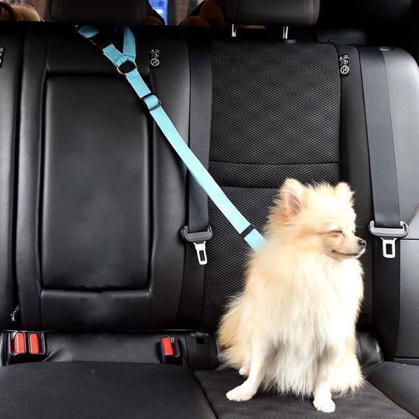 dog collars & leashes ring pet car safety rope adjustable 360 °rotation collar buckle seat belt eco-fiendly durable
dog collars & leashes ring pet car safety rope adjustable 360 °rotation collar buckle seat belt eco-fiendly durable